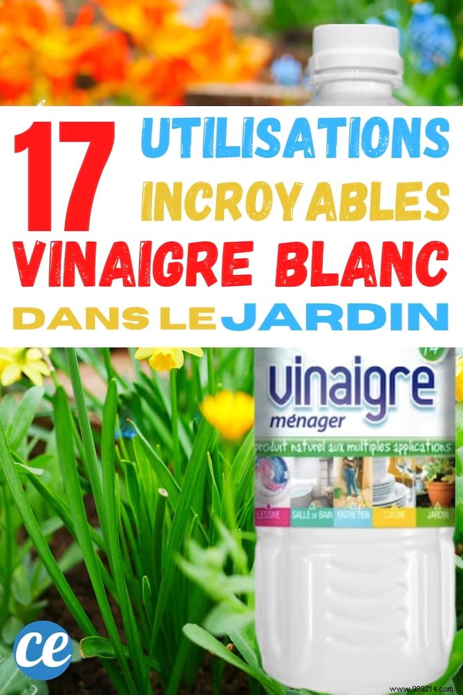 Use White Vinegar In The Garden And These 17 Miracles Will Happen. 