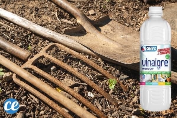 Use White Vinegar In The Garden And These 17 Miracles Will Happen. 