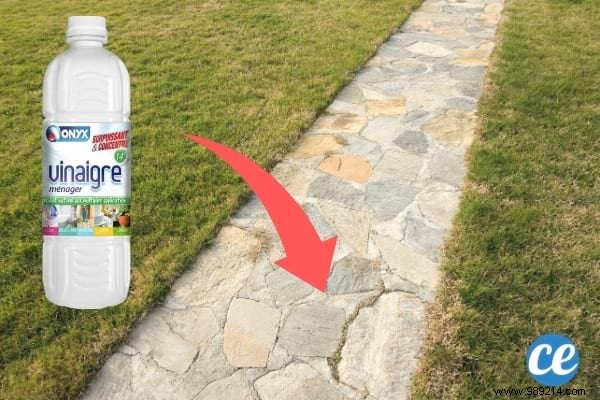 Use White Vinegar In The Garden And These 17 Miracles Will Happen. 