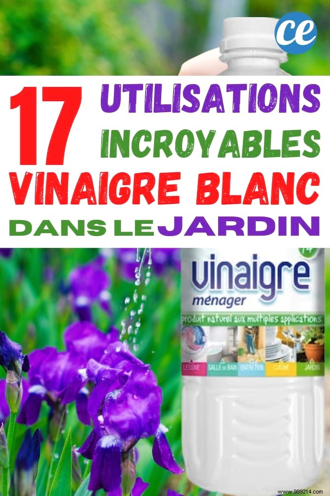 Use White Vinegar In The Garden And These 17 Miracles Will Happen. 