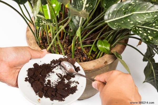 10 Frighteningly EFFECTIVE Natural and Free Fertilizers. 