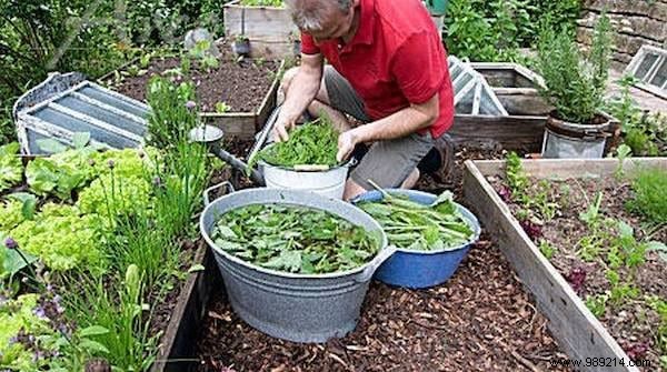 Natural Weed Killer:8 SAFE Tricks Against Weeds. 