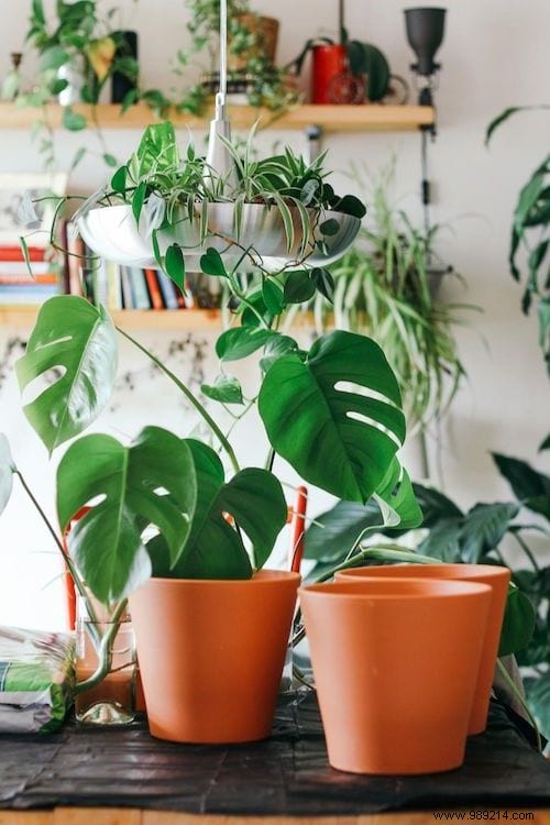 15 Easy Tips For Watering Your Plants When You re Away. 