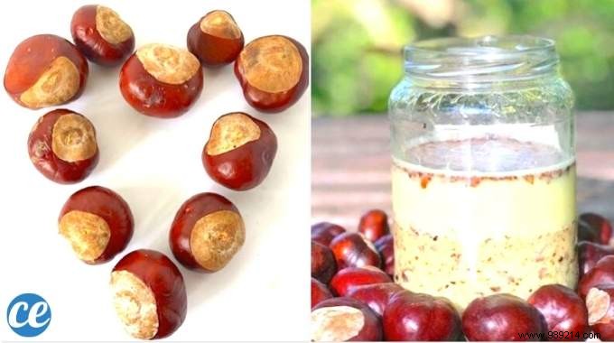 10 Chestnut Uses You re Gonna Fall In Love With. 