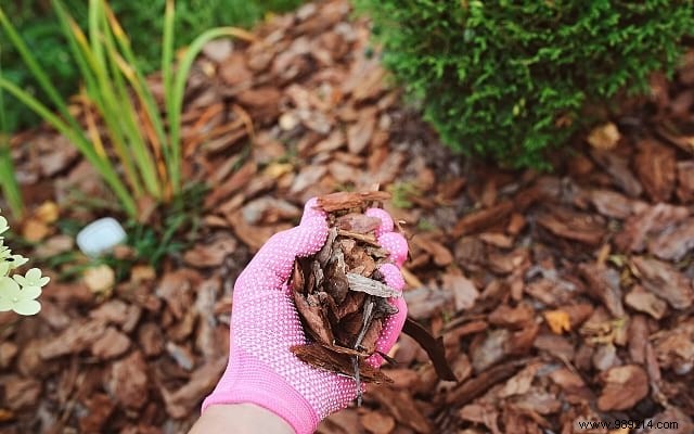 9 Gardener Secrets to Reduce Watering by 50%! 