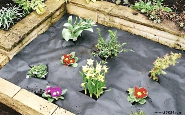 9 Gardener Secrets to Reduce Watering by 50%! 