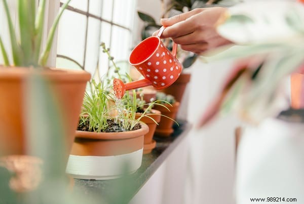 20 Incredible Tricks To Resuscitate A DEAD PLANT. 