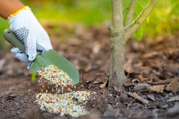 20 Incredible Tricks To Resuscitate A DEAD PLANT. 