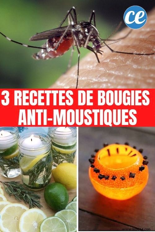 3 REALLY Effective Mosquito Repellent Candle Recipes. 