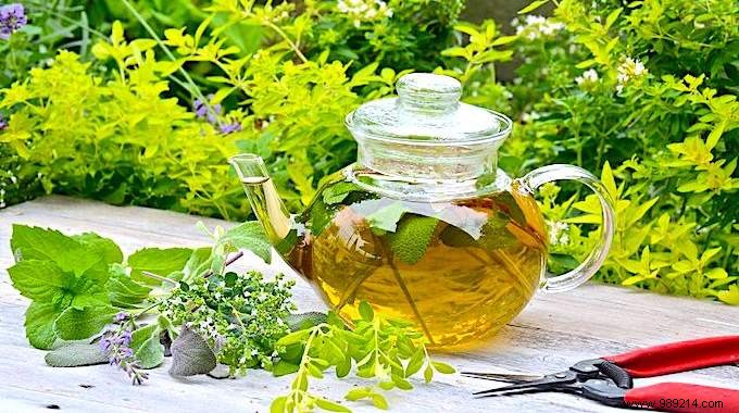 26 Easy-to-grow herbs to make your own herbal teas. 