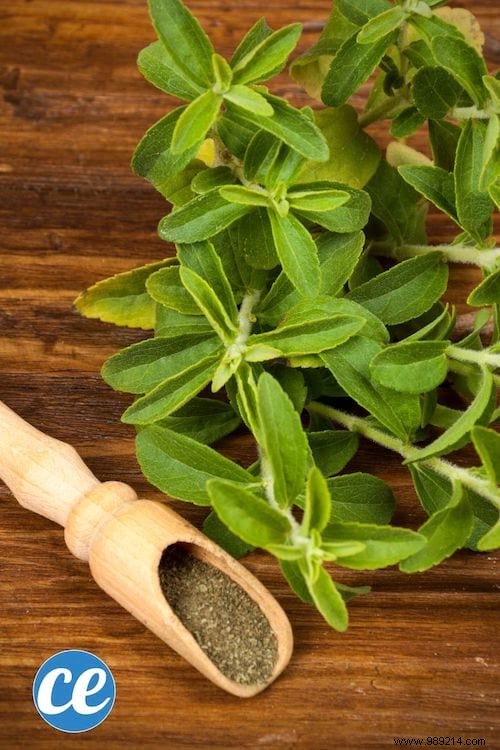 26 Easy-to-grow herbs to make your own herbal teas. 