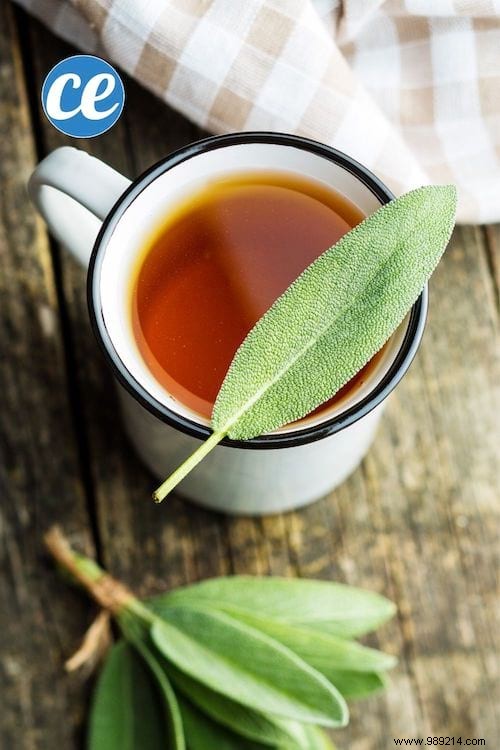 26 Easy-to-grow herbs to make your own herbal teas. 