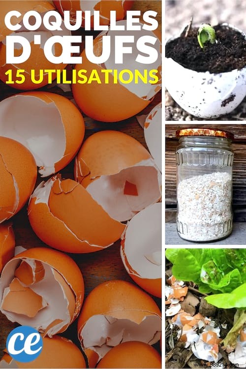 15 Good Reasons to Never Throw Away Your Eggshells Again. 