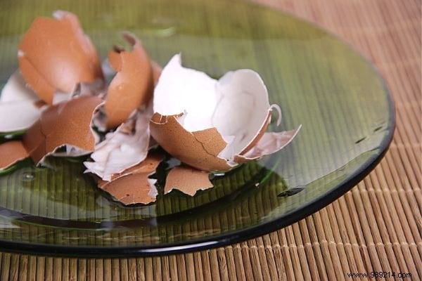 15 Good Reasons to Never Throw Away Your Eggshells Again. 