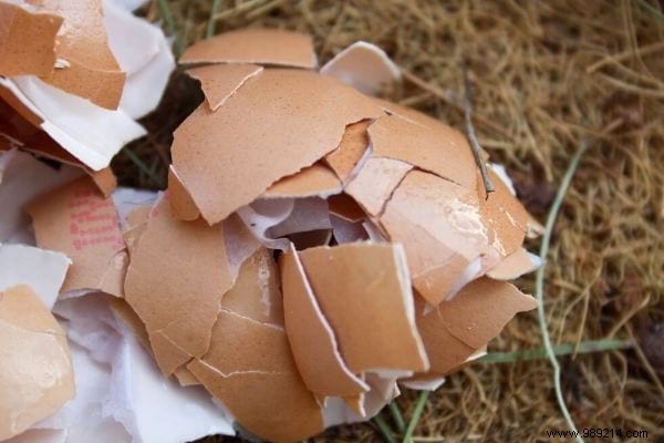 15 Good Reasons to Never Throw Away Your Eggshells Again. 