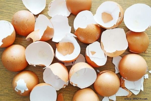 15 Good Reasons to Never Throw Away Your Eggshells Again. 