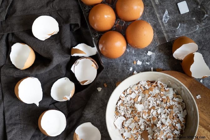 15 Good Reasons to Never Throw Away Your Eggshells Again. 