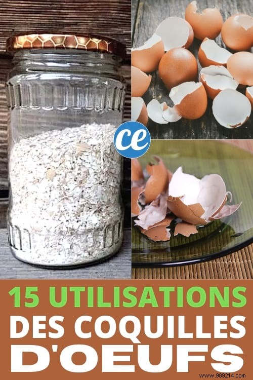 15 Good Reasons to Never Throw Away Your Eggshells Again. 