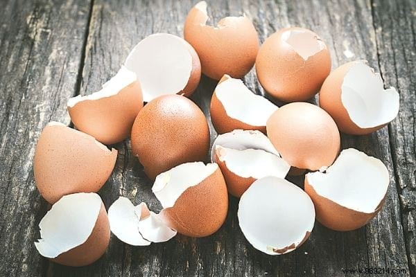 15 Good Reasons to Never Throw Away Your Eggshells Again. 