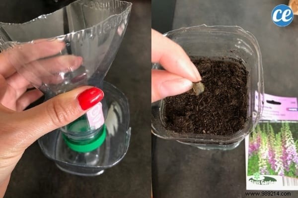 How To Do Automatic Watering For Seedlings With A Bottle. 