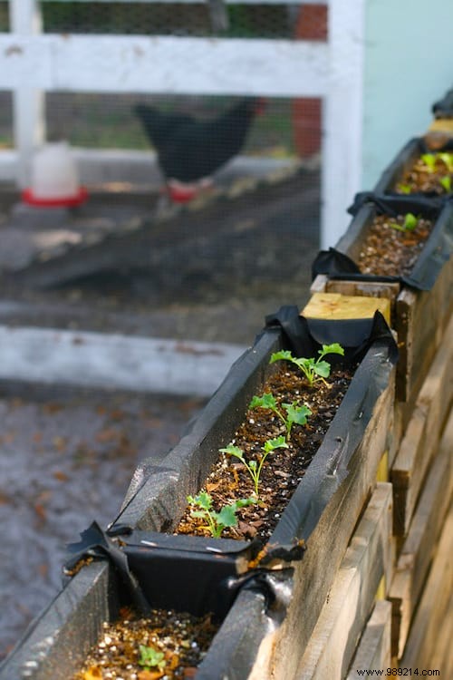 How to Make a Free Pallet Fence (In Just 4 Steps). 