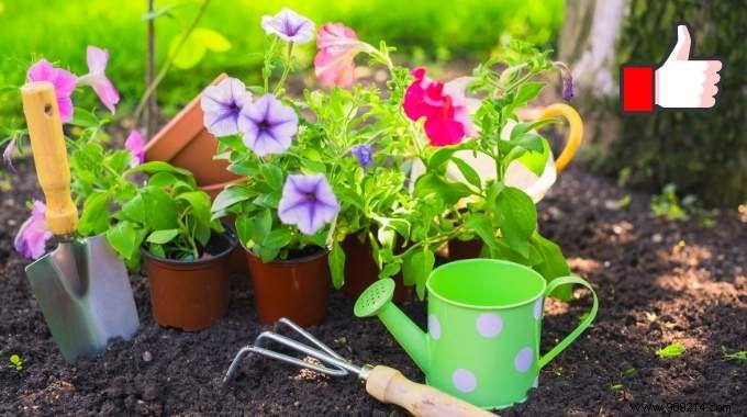 25 Gardening Tips Every Gardener Should Know. 