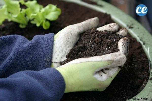 25 Gardening Tips Every Gardener Should Know. 