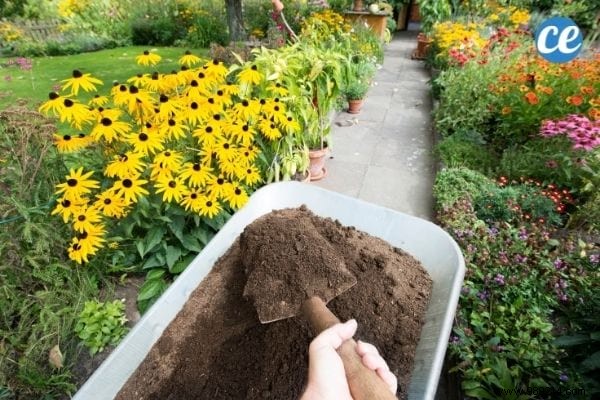 25 Gardening Tips Every Gardener Should Know. 