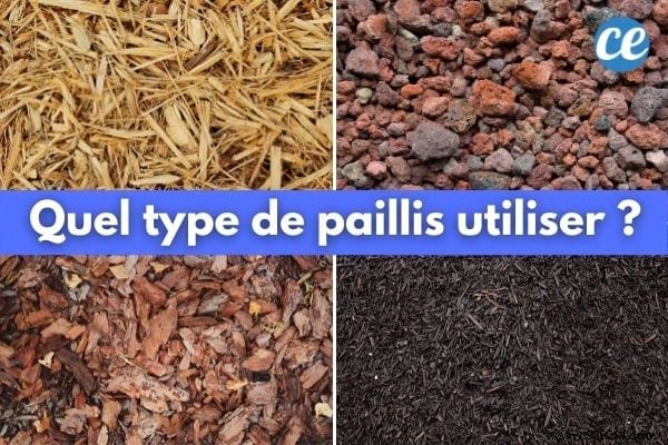 What is mulching used for and which one to choose for your garden and vegetable patch? 