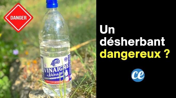 White Vinegar:A Truly SAFE Weedkiller? 