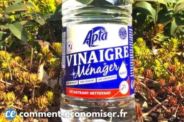 White Vinegar:A Truly SAFE Weedkiller? 