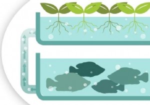 What is Aquaponics? The Diagram To Understand Everything. 