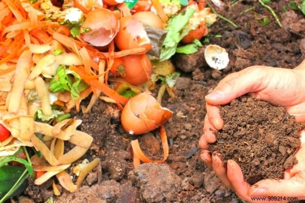 Here s How To Use Yeast To Have Beautiful Plants At Home. 