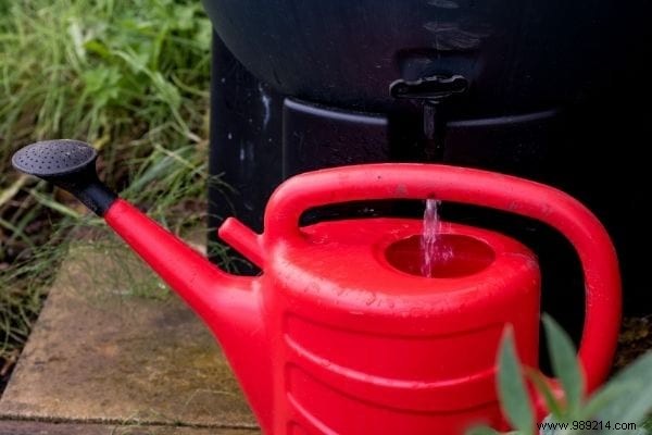 8 Uses of Rainwater (To Save On Your Water Bill). 