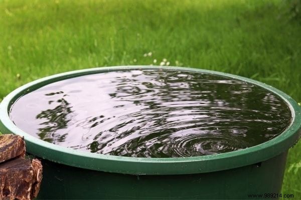 8 Uses of Rainwater (To Save On Your Water Bill). 