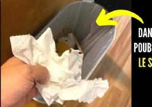 In Which Bin Should You (Really) Throw Paper Towels? 