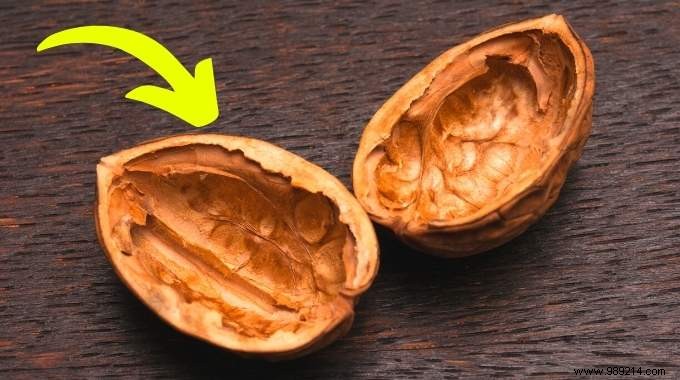 What to do with Walnut and Hazelnut Shells? 7 Amazing Uses. 