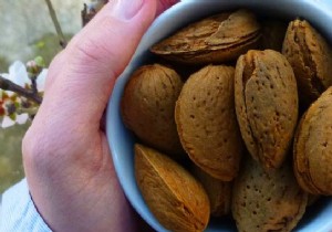 The Simple Trick To Store Almonds Longer. 