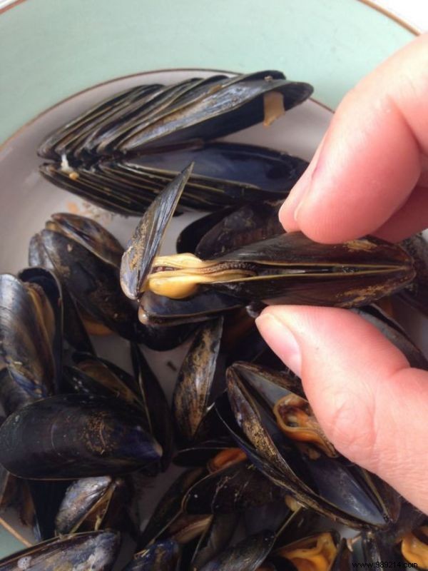 How to Eat Mussels at the Restaurant? 2 Little Things to Know. 