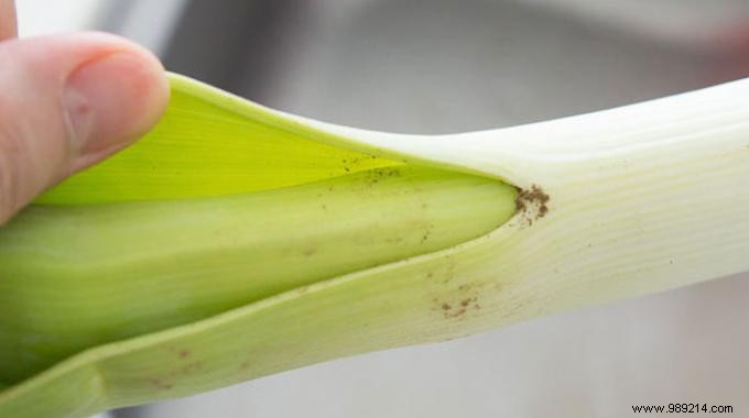 How to REALLY Wash a Leek Easily. 