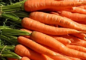 How to Store Carrots for Months. 