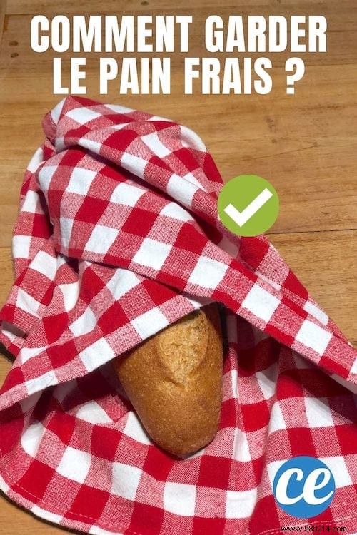 How to Keep Bread Fresh and Crispy? 