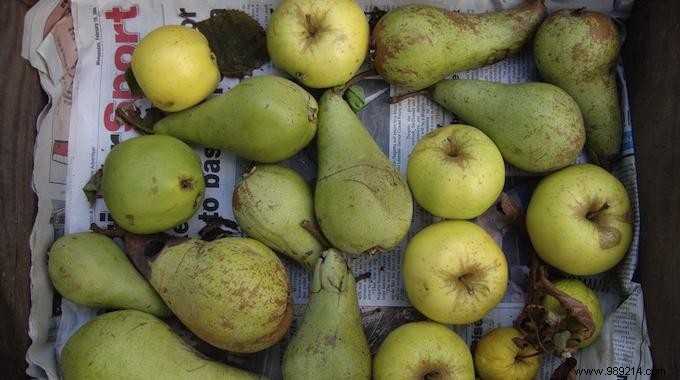 The Little Simple Trick To Preserve Your Apples and Pears. 