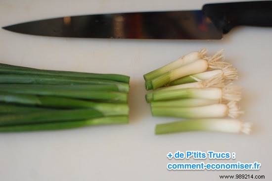 Never Buy Chives Again. Just Put It In Water And It Grows Back! 