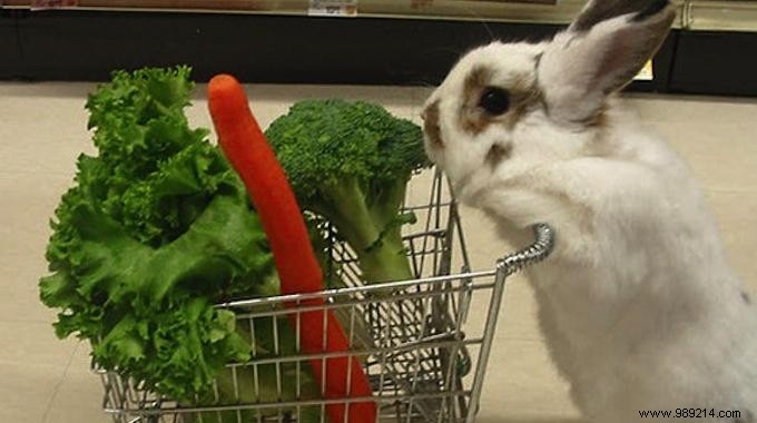 The Amazing Trick to Keep Salad in a Bag for Longer. 