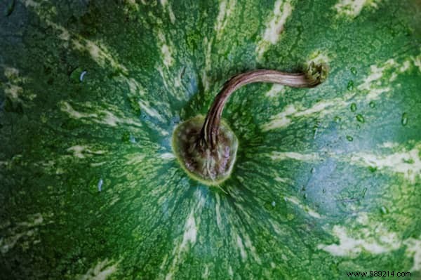 5 Essential Tips For Choosing THE BEST Watermelon. 