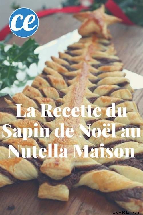 Delicious and Ready in 10 Min:The Christmas Tree Recipe Stuffed with Homemade Nutella. 