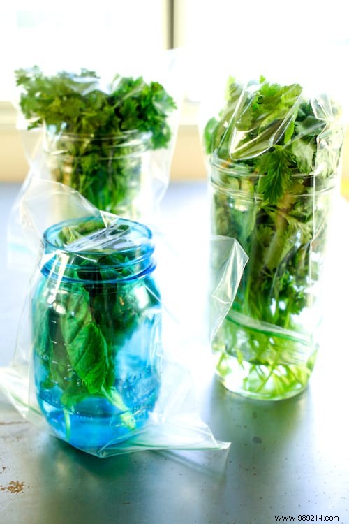 The Infallible Tip To Preserve Your Aromatic Herbs For 3 Weeks. 