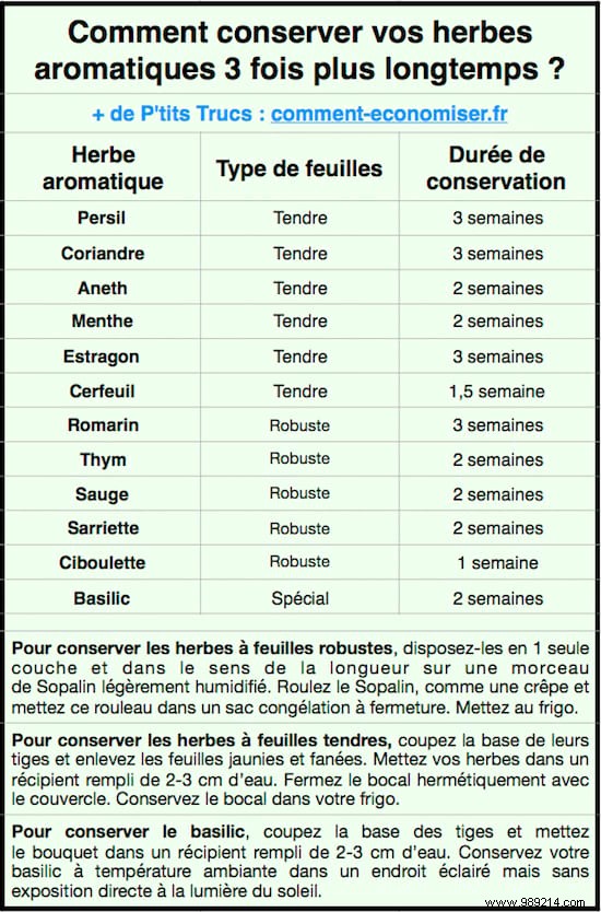 How to Preserve Your Aromatic Herbs 3 Times Longer. 