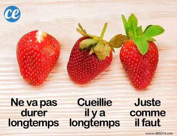 9 Simple Tips For Choosing Delicious Strawberries Every Time. 